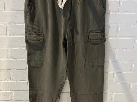 Pants Joggers By Aerie In Green, Size: 4 Online Hot Sale