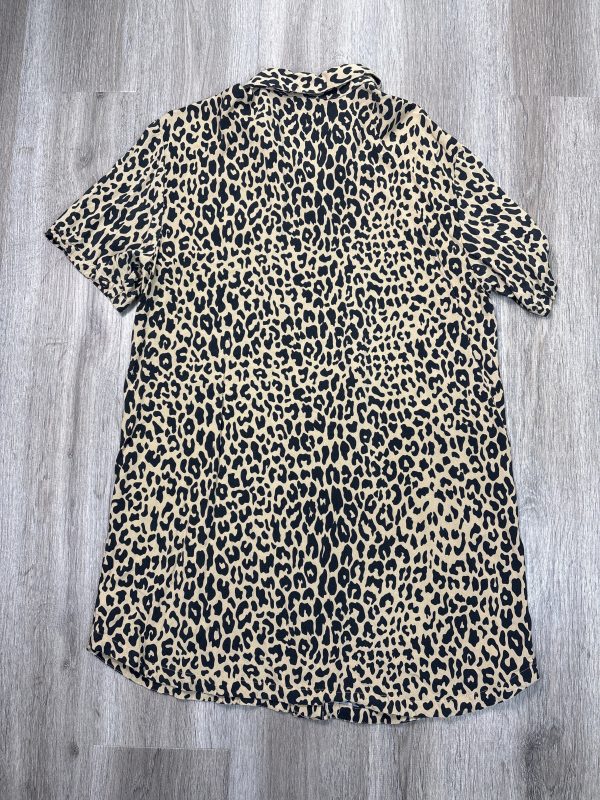 Top Short Sleeve By Ascot and Hart In Leopard Print, Size: M For Cheap